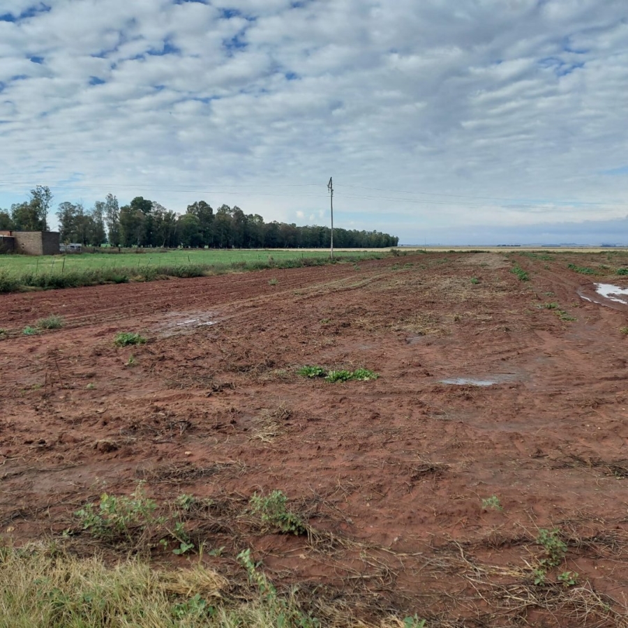 Commercial Property for Sale in Bloemfontein Rural Free State